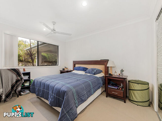 11 Peregrine Street REEDY CREEK QLD 4227