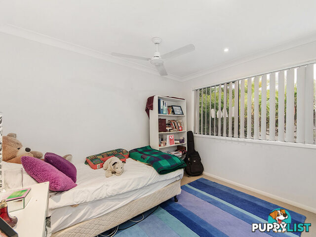 11 Peregrine Street REEDY CREEK QLD 4227