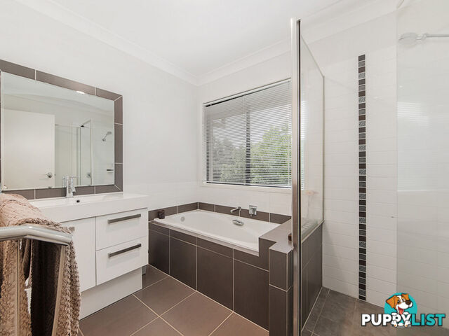 11 Peregrine Street REEDY CREEK QLD 4227