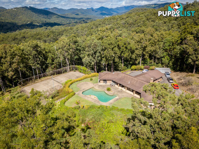 17 Arkana Street MUDGEERABA QLD 4213