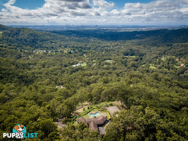 17 Arkana Street MUDGEERABA QLD 4213