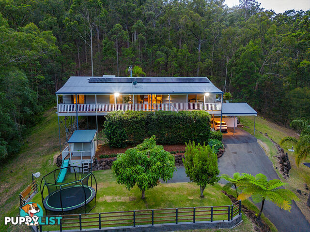 23 Hugh Guinea Court WORONGARY QLD 4213