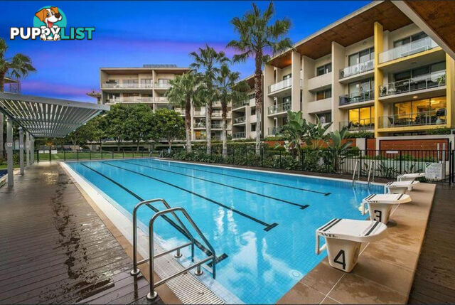 33/154 Musgrave Avenue SOUTHPORT QLD 4215