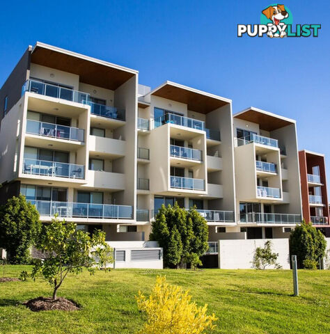 33/154 Musgrave Avenue SOUTHPORT QLD 4215