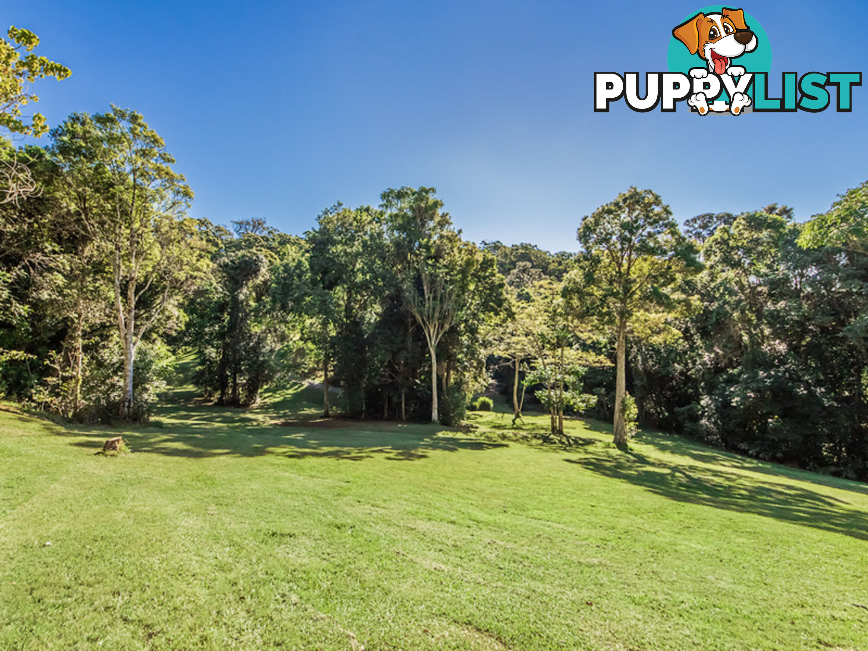 756 Trees Road TALLEBUDGERA VALLEY QLD 4228