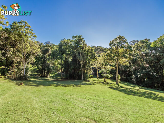 756 Trees Road TALLEBUDGERA VALLEY QLD 4228