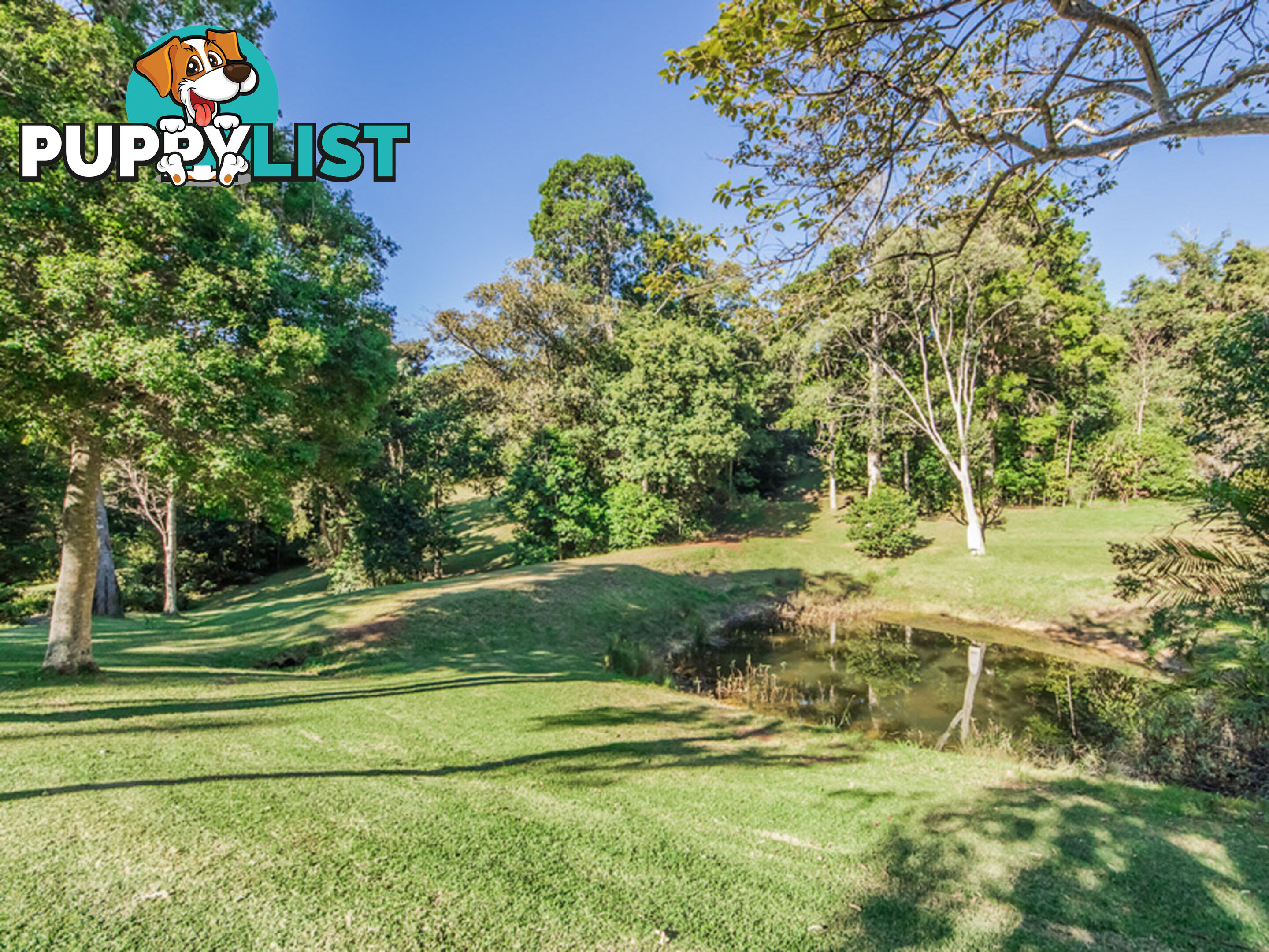 756 Trees Road TALLEBUDGERA VALLEY QLD 4228