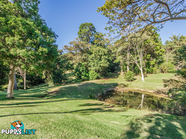 756 Trees Road TALLEBUDGERA VALLEY QLD 4228