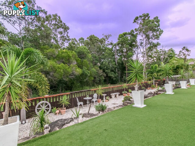 16 Parrott Court GILSTON QLD 4211