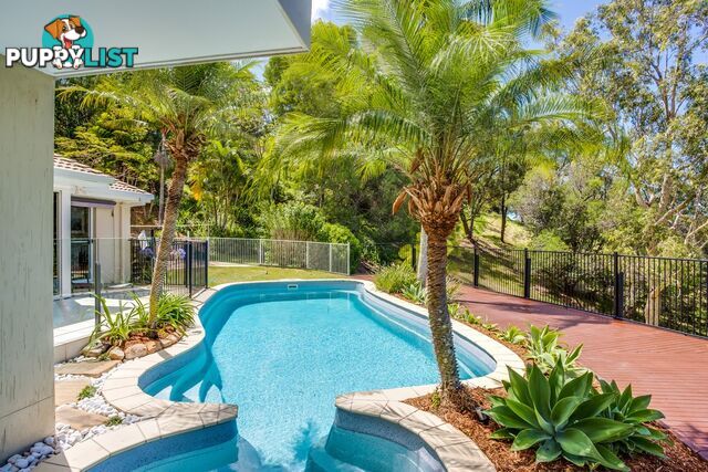 3 Earle Court TALLAI QLD 4213