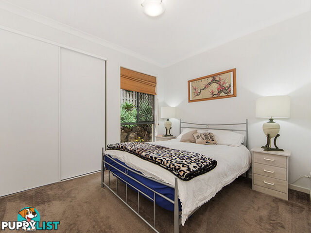 10 Stargate Court REEDY CREEK QLD 4227