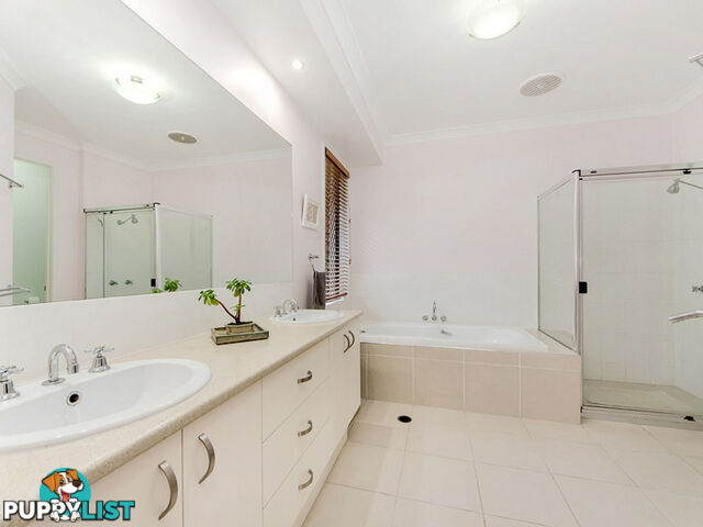 10 Stargate Court REEDY CREEK QLD 4227