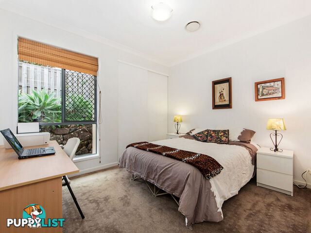 10 Stargate Court REEDY CREEK QLD 4227