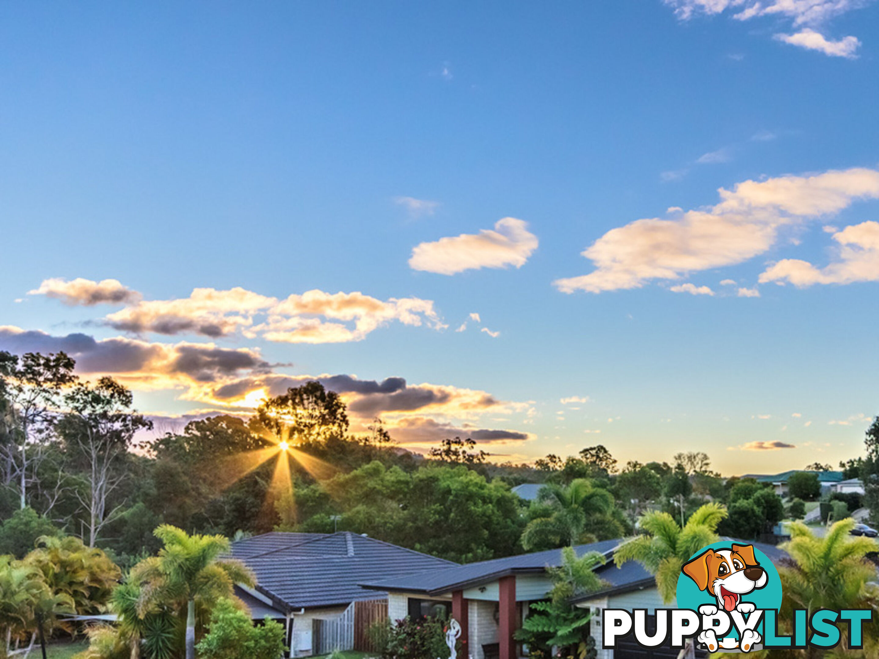 8 Parrott Court GILSTON QLD 4211