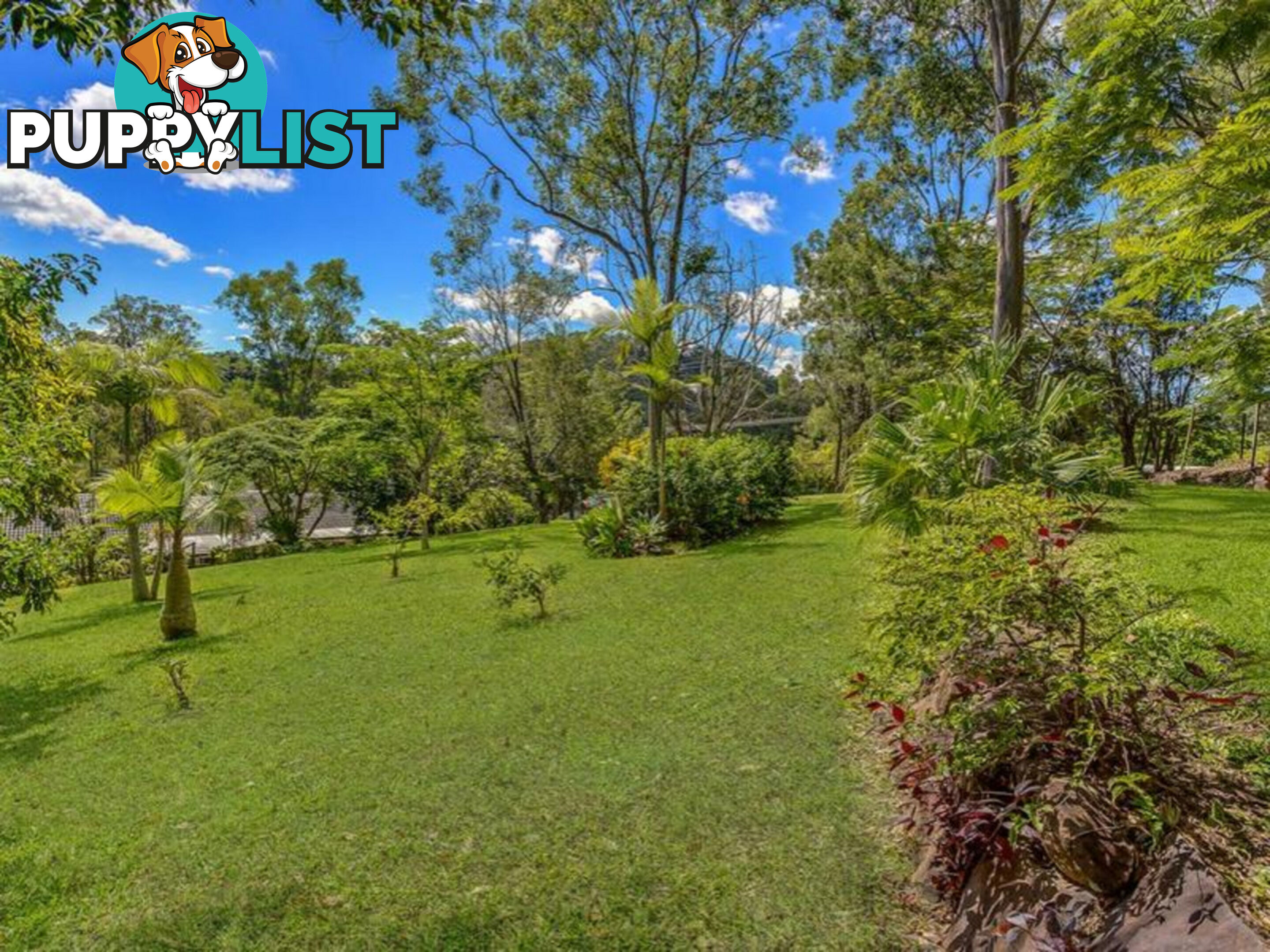 15 Glenaura Drive TALLAI QLD 4213