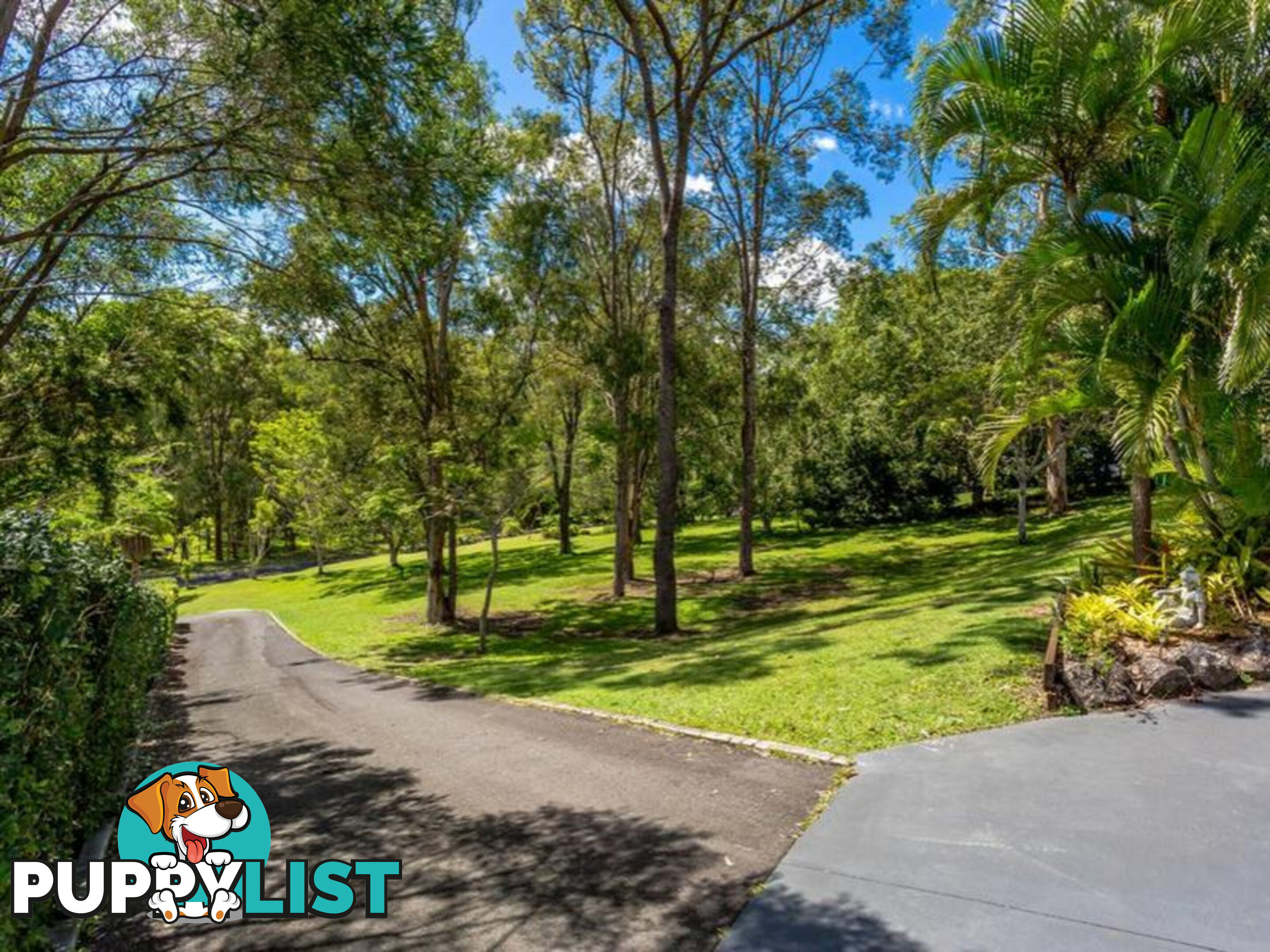 15 Glenaura Drive TALLAI QLD 4213