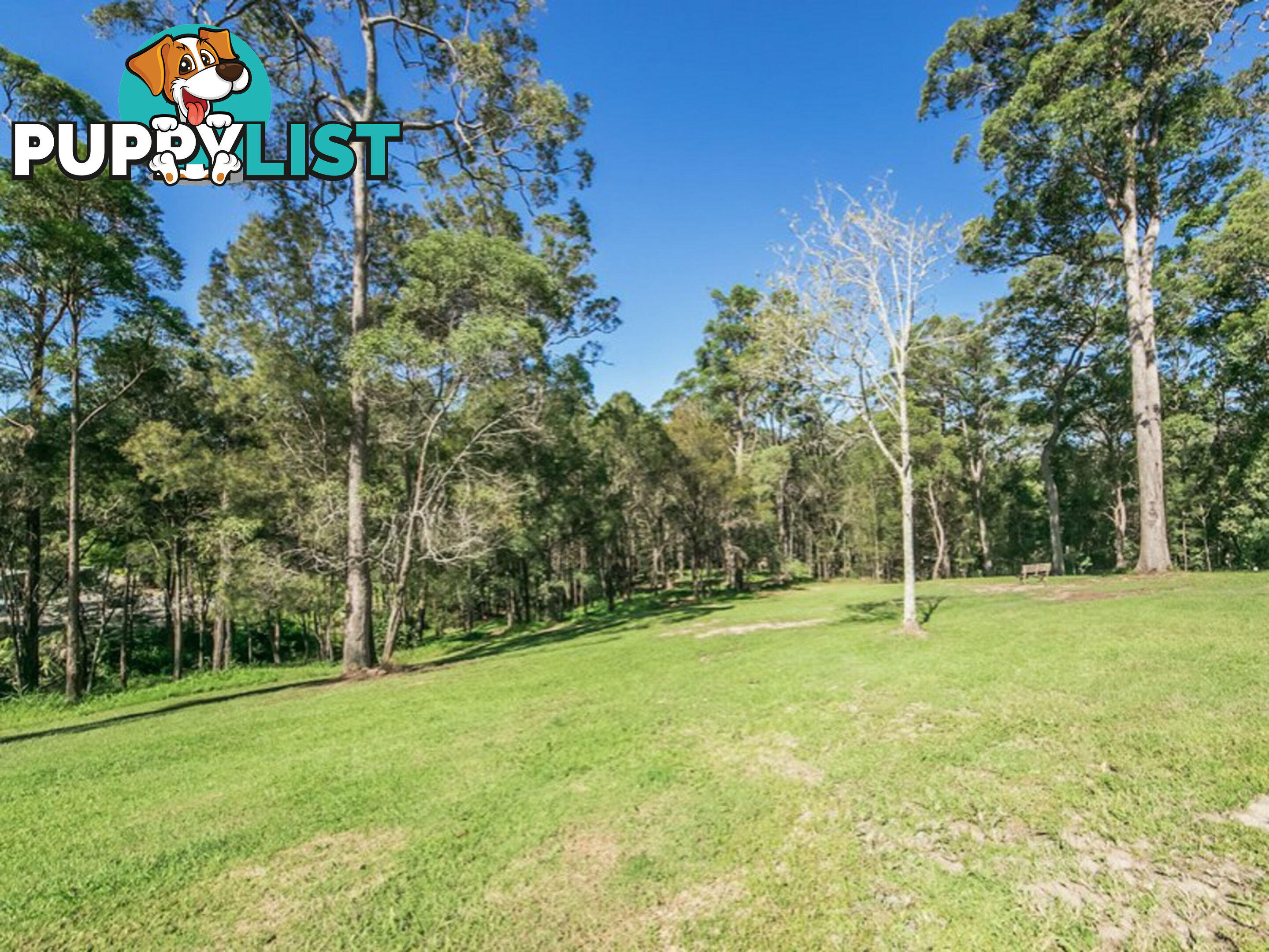 Lot 2, 29- Jedda Street TALLEBUDGERA QLD 4228