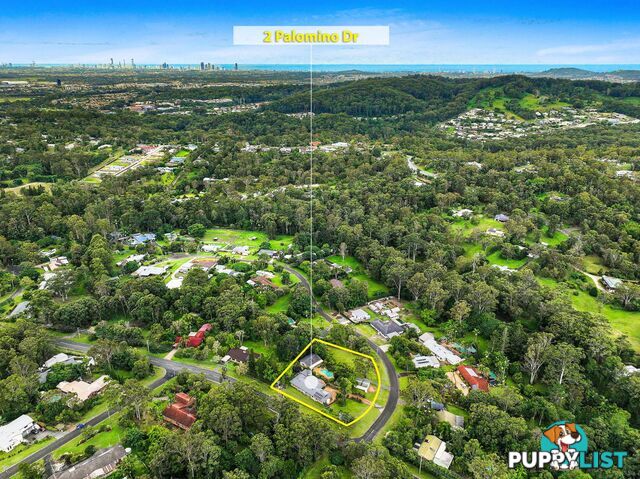 2 Palomino Drive MUDGEERABA QLD 4213