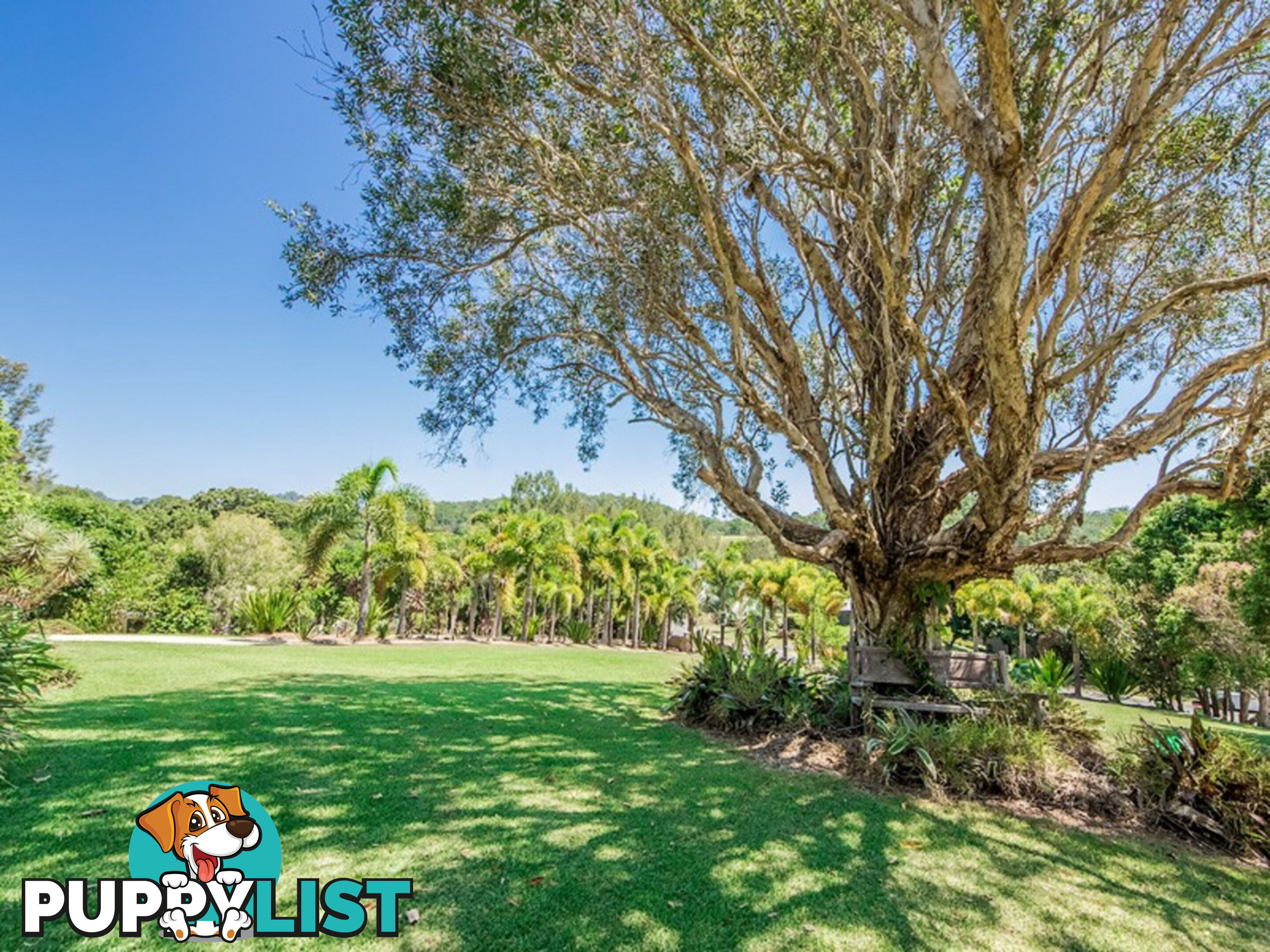 28 Dungogie Drive TALLEBUDGERA QLD 4228