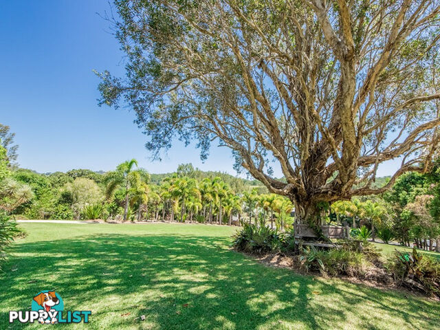 28 Dungogie Drive TALLEBUDGERA QLD 4228