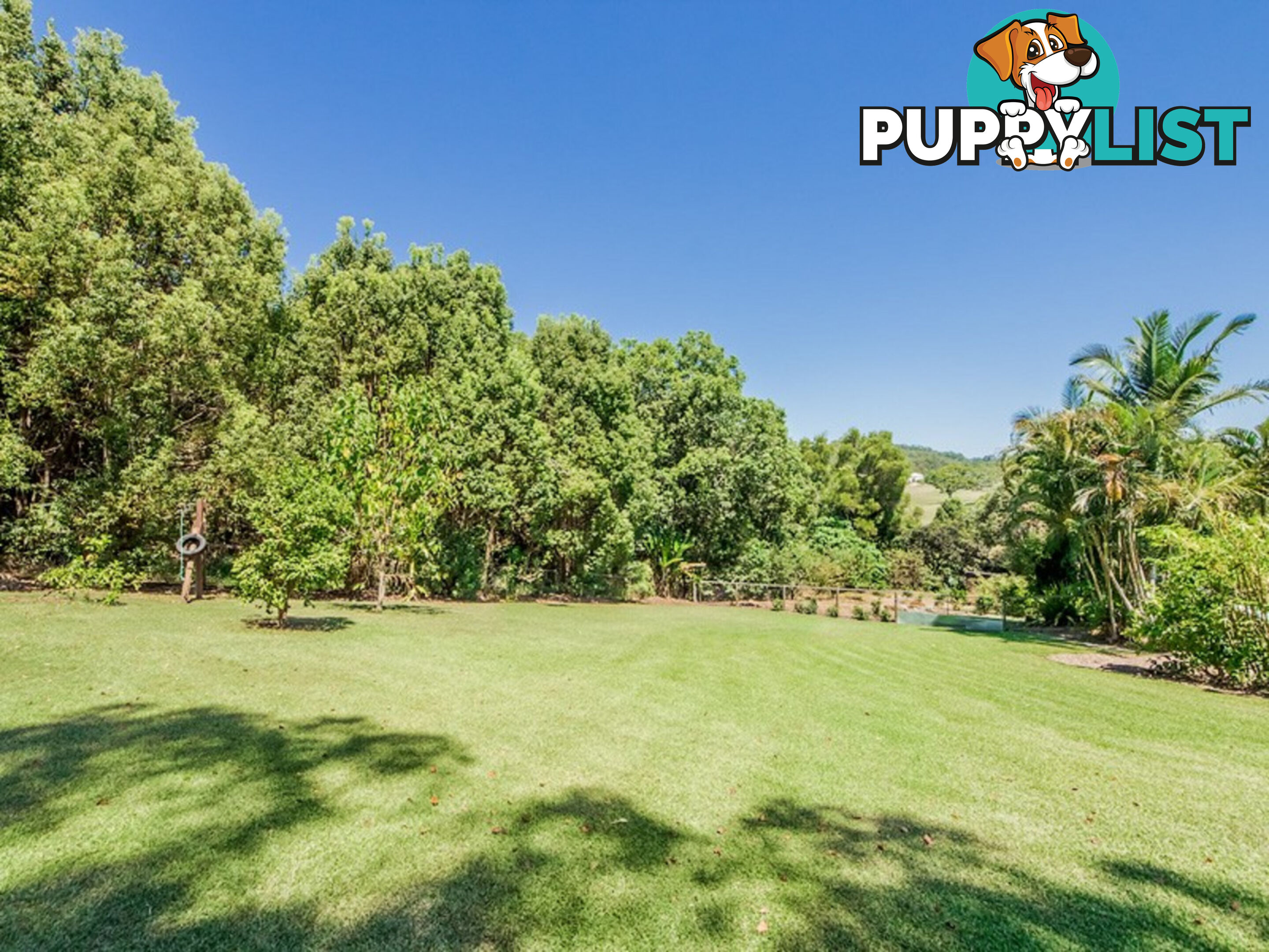 28 Dungogie Drive TALLEBUDGERA QLD 4228