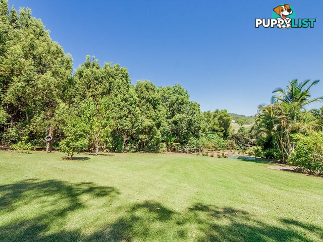 28 Dungogie Drive TALLEBUDGERA QLD 4228