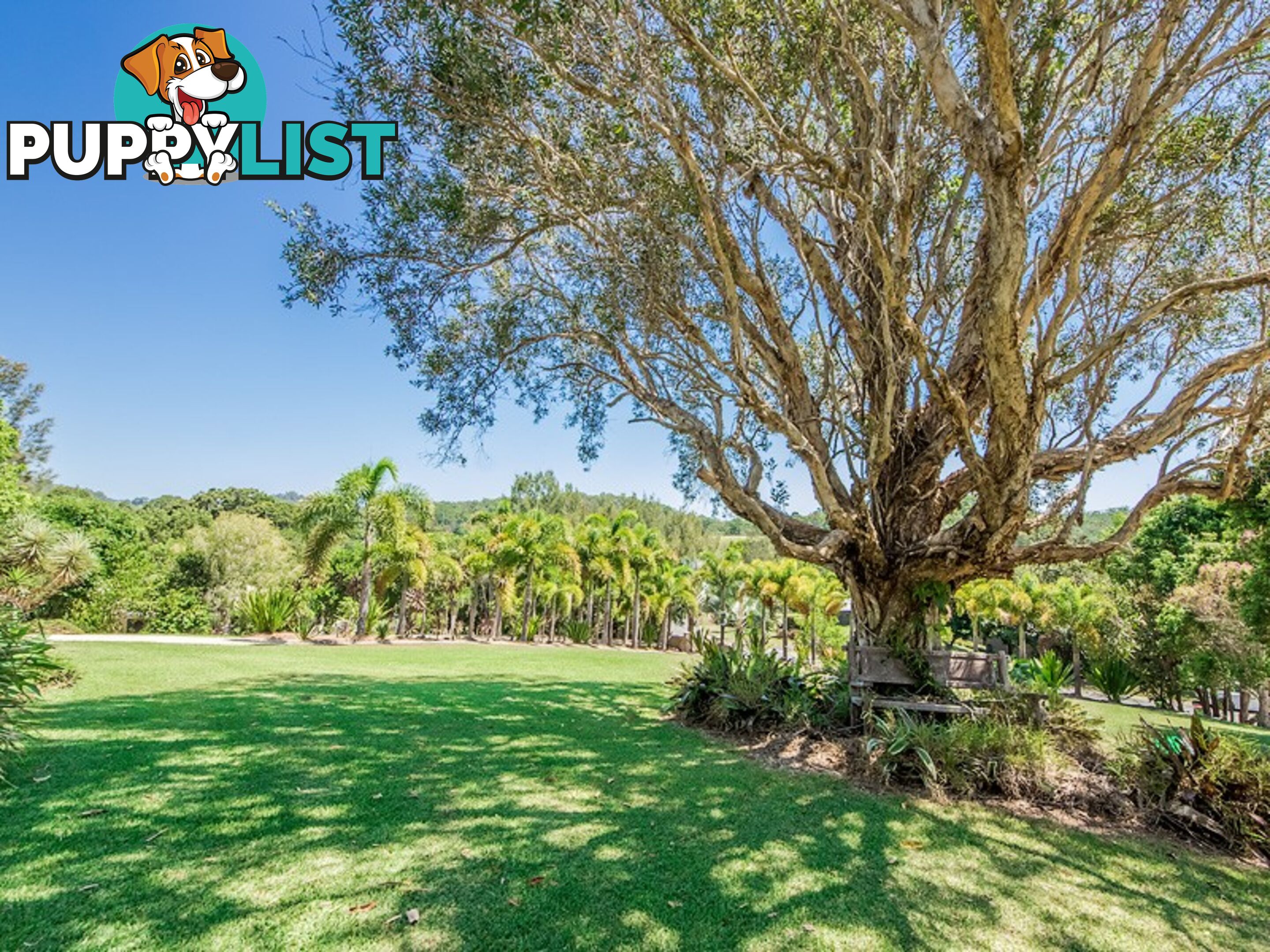 28 Dungogie Drive TALLEBUDGERA QLD 4228