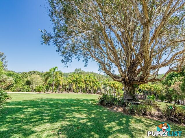 28 Dungogie Drive TALLEBUDGERA QLD 4228