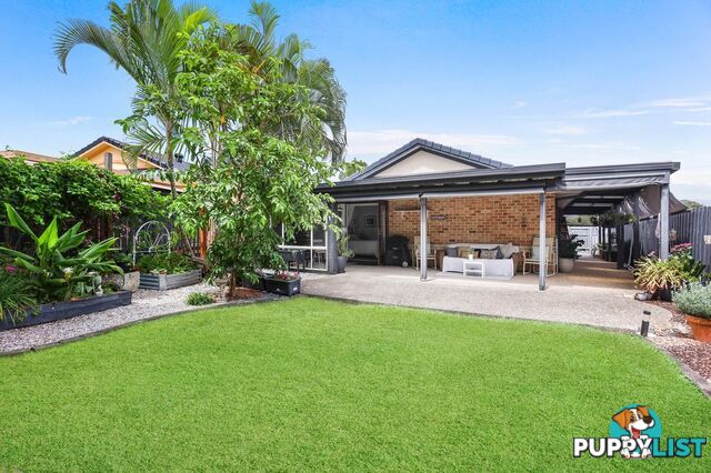 66 Lambor Drive MUDGEERABA QLD 4213