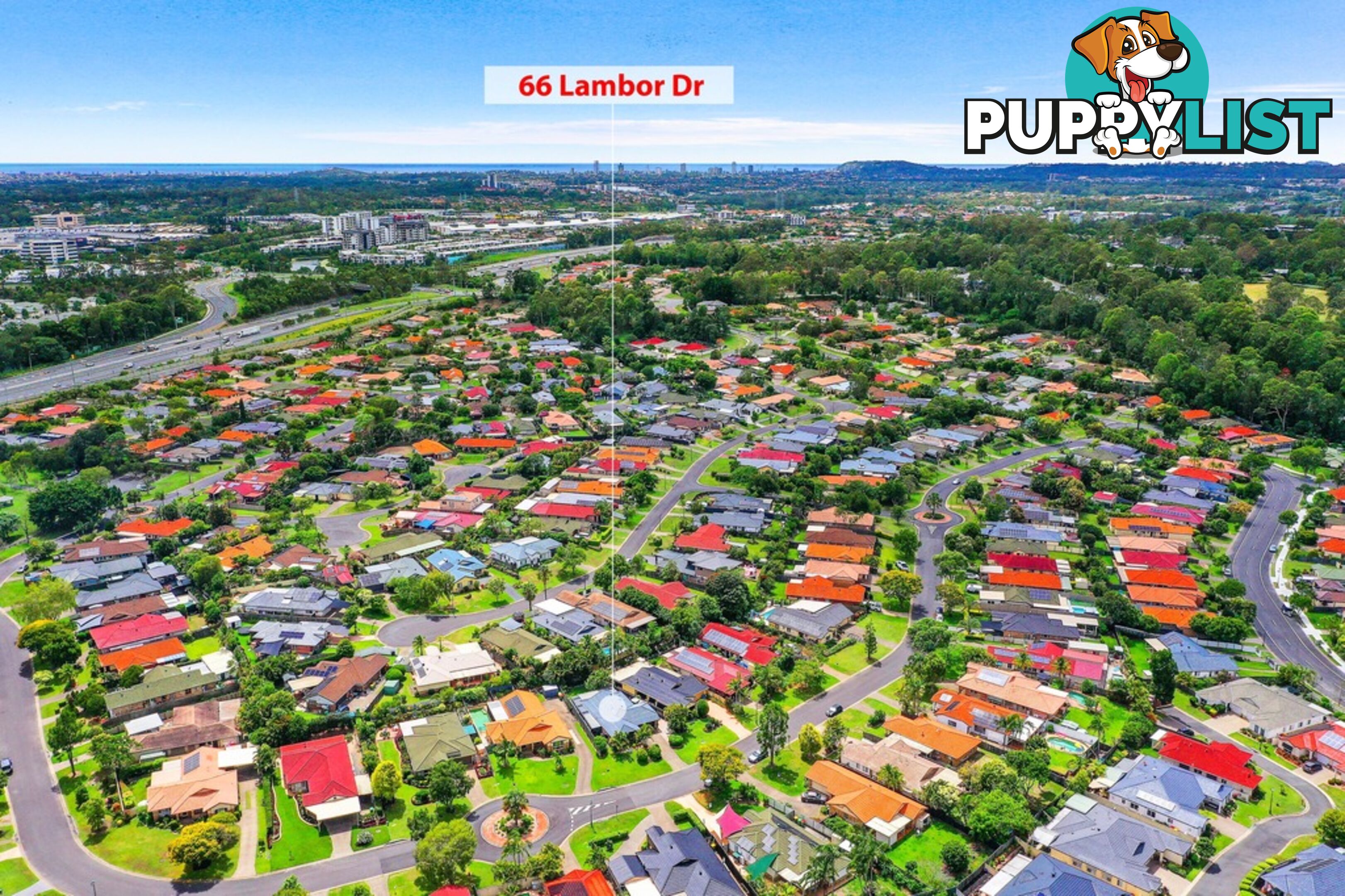 66 Lambor Drive MUDGEERABA QLD 4213