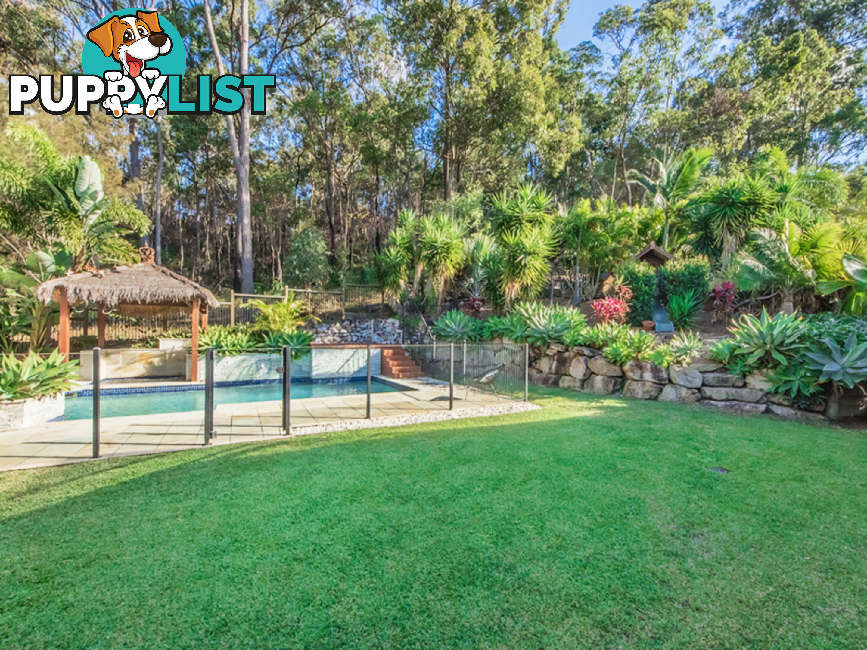 8 Grove Creek Close REEDY CREEK QLD 4227