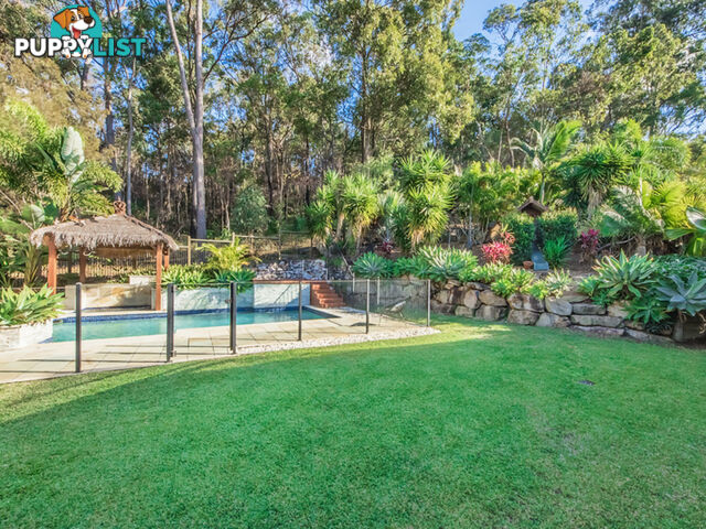 8 Grove Creek Close REEDY CREEK QLD 4227