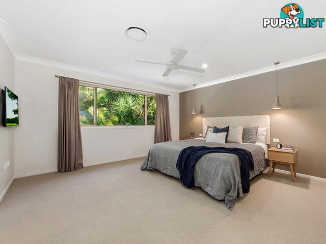 8 Grove Creek Close REEDY CREEK QLD 4227