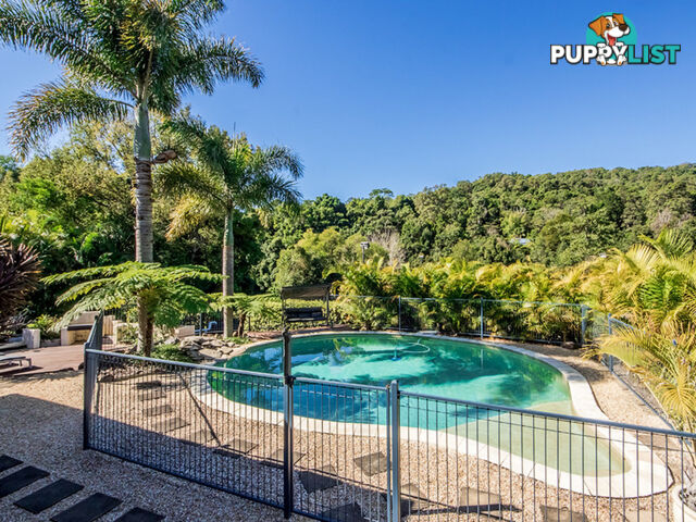 209 Syndicate Road TALLEBUDGERA QLD 4228