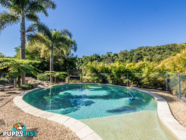 209 Syndicate Road TALLEBUDGERA QLD 4228