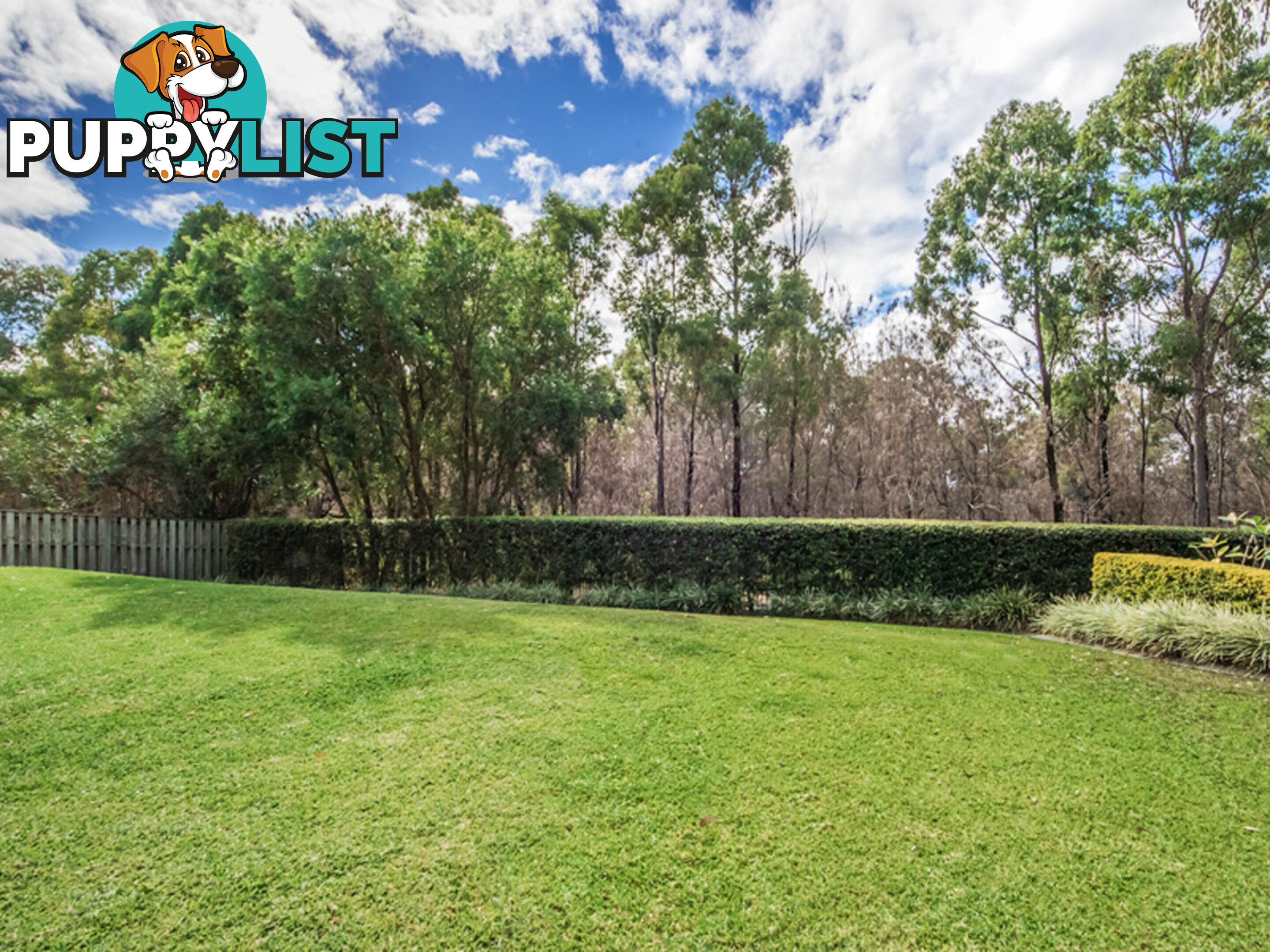 3 Gilgandra Close REEDY CREEK QLD 4227