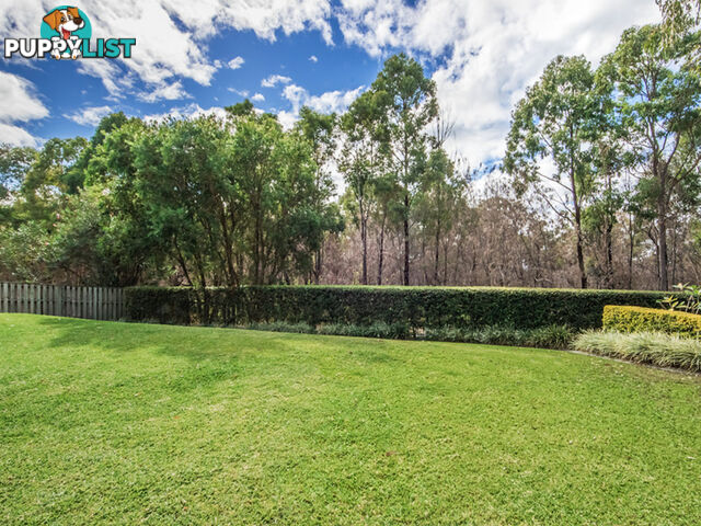 3 Gilgandra Close REEDY CREEK QLD 4227