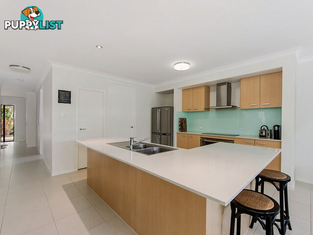 3 Perkins Close REEDY CREEK QLD 4227