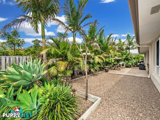 3 Perkins Close REEDY CREEK QLD 4227