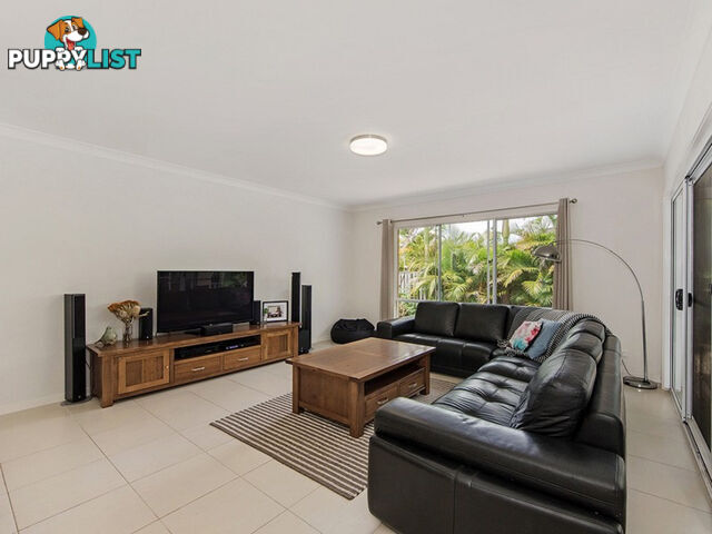 3 Perkins Close REEDY CREEK QLD 4227