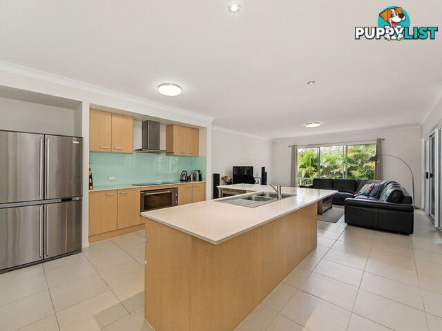 3 Perkins Close REEDY CREEK QLD 4227