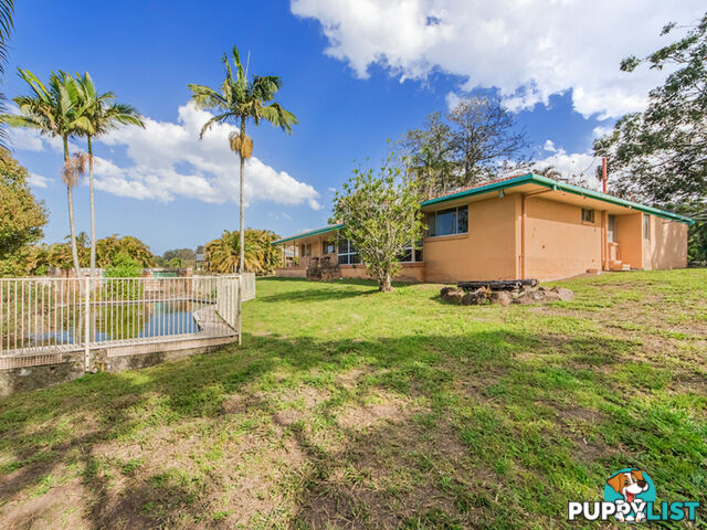 53 KOOMBAHLA Drive TALLEBUDGERA QLD 4228