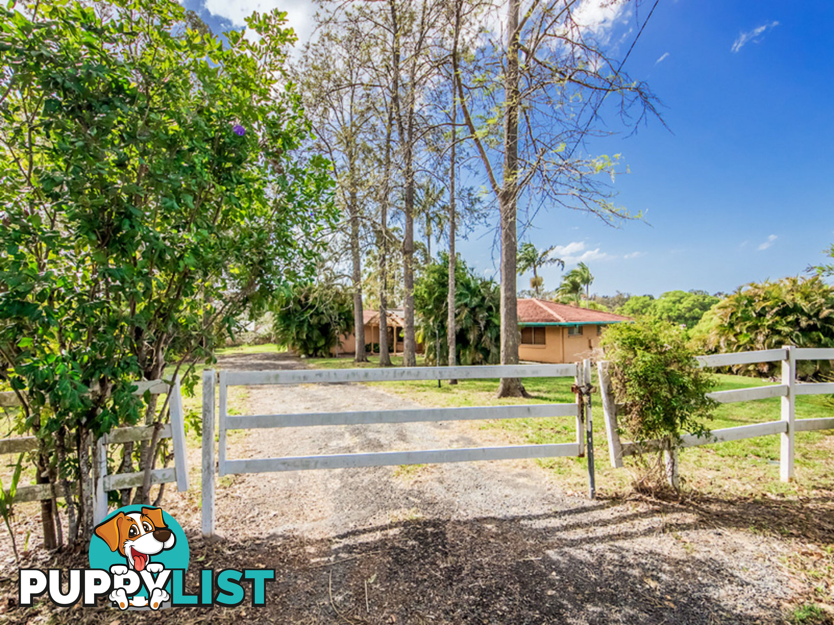 53 KOOMBAHLA Drive TALLEBUDGERA QLD 4228