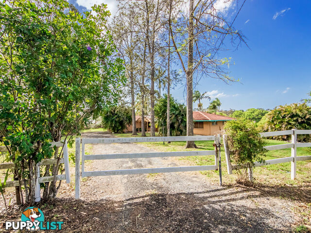 53 KOOMBAHLA Drive TALLEBUDGERA QLD 4228