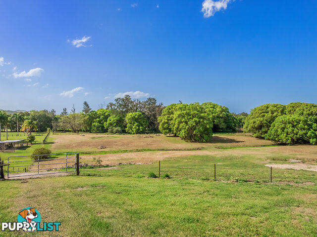 53 KOOMBAHLA Drive TALLEBUDGERA QLD 4228