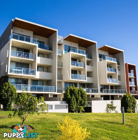 30/154 Musgrave Avenue SOUTHPORT QLD 4215