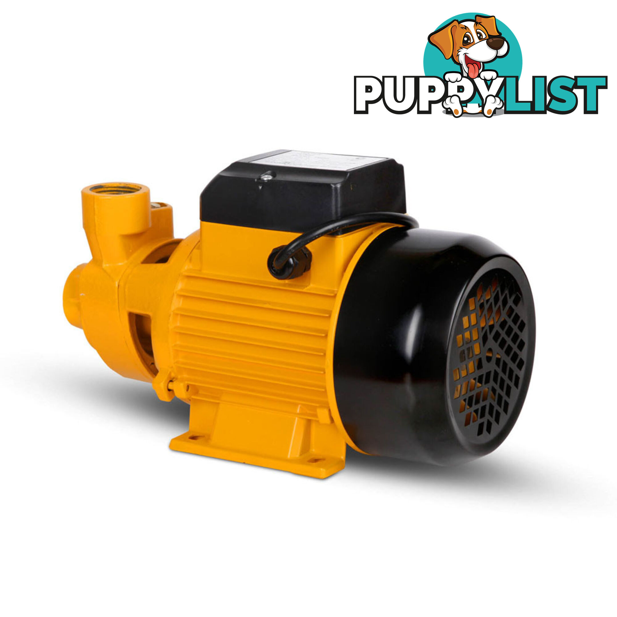 Electric Clean Water Pump 3300L/Hour 1/HP