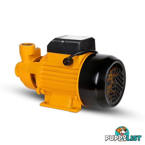 Electric Clean Water Pump 3300L/Hour 1/HP