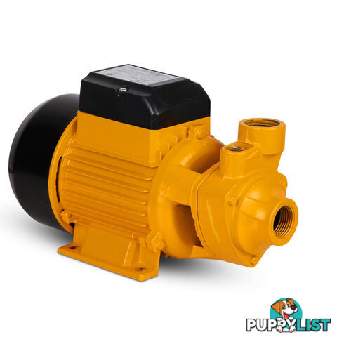 Electric Clean Water Pump 3300L/Hour 1/HP