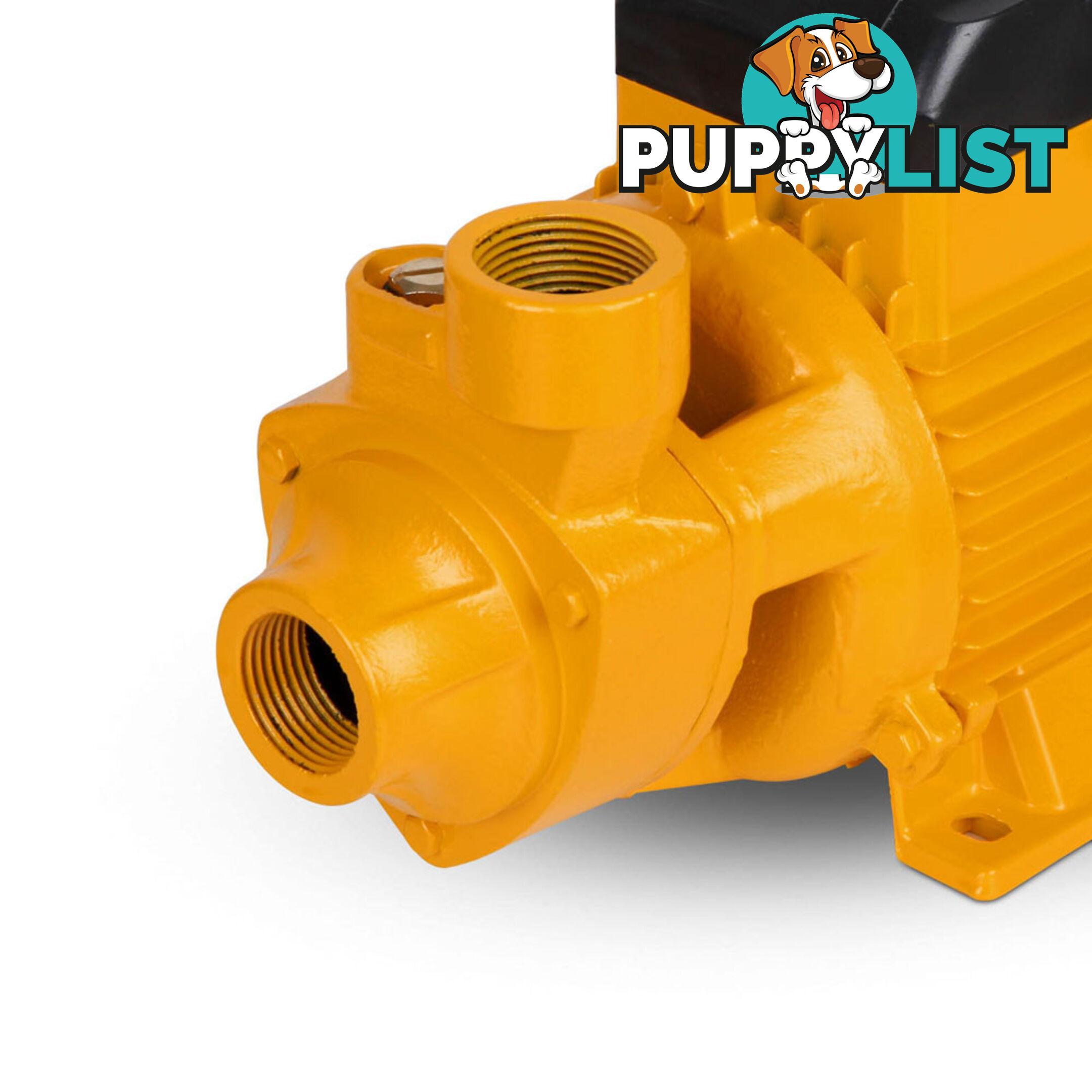 Electric Clean Water Pump 3300L/Hour 1/HP